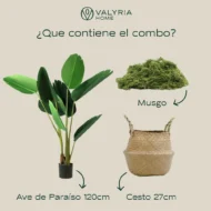 Pack Ave del Paraíso 120cm+ Cesto Maceta 27cm + Musgo - Imagen 4