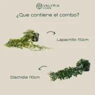 Planta Artificial Colgante con Maceta - Lapachillo 110cm + Dischidia 110cm - Imagen 2