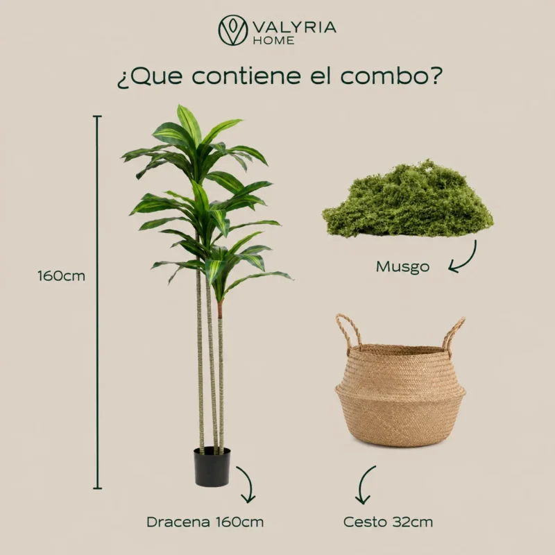 Planta artificial, Dracena Artificial