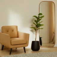 Ficus 120cm, Hoja de Violin, Ficus lyrata
