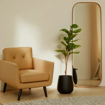 Ficus 120cm, Hoja de Violin, Ficus lyrata